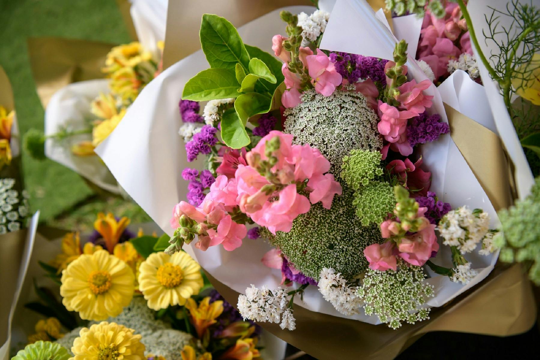 Beautiful Flowers for sale