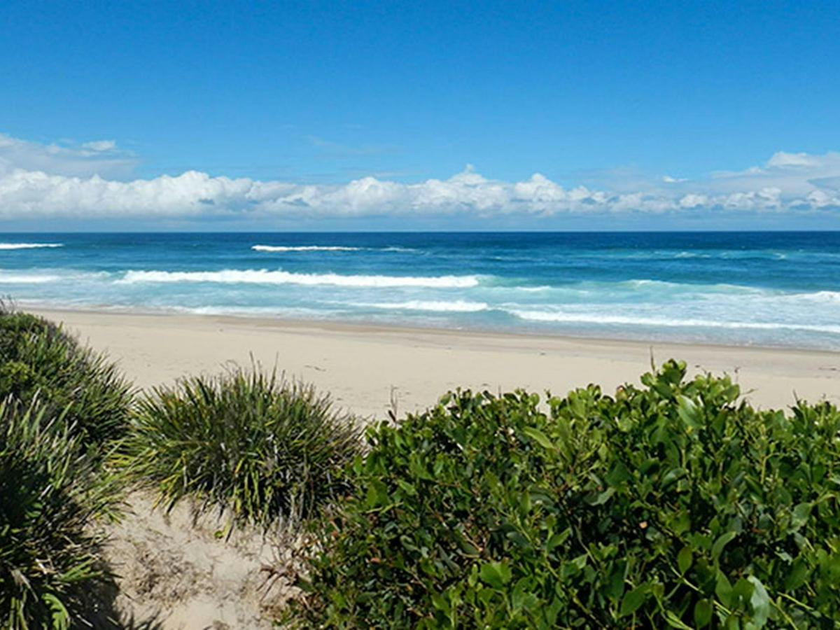 Cheesetree picnic area, Crowdy Bay National Park. Photo: Debby McGerty &copy; OEH