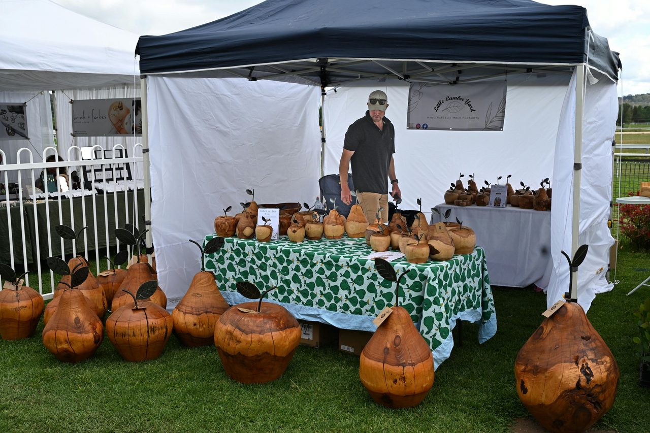 Wooden Fruit