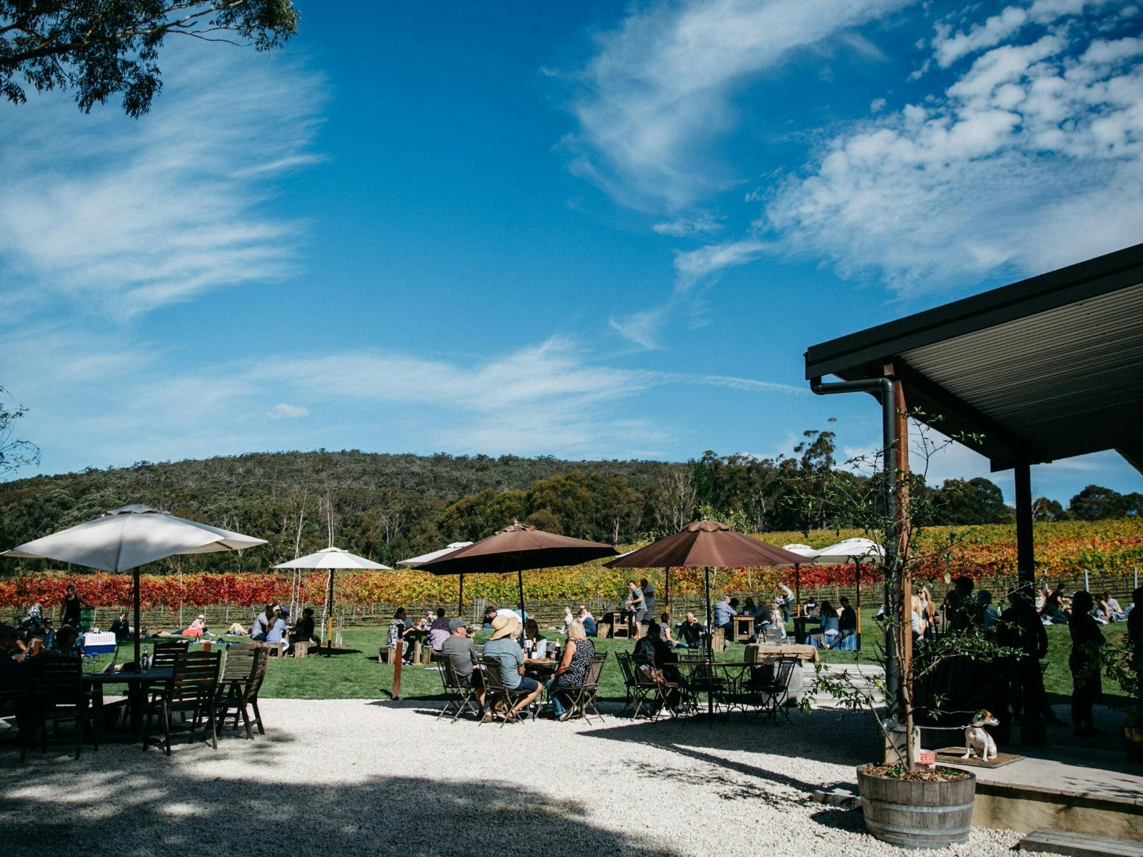 Artemis Live on the Lawn 2