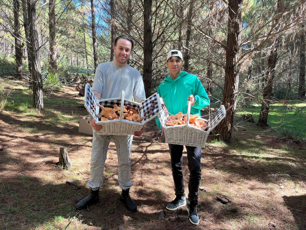 Mushroom foraging in NSW