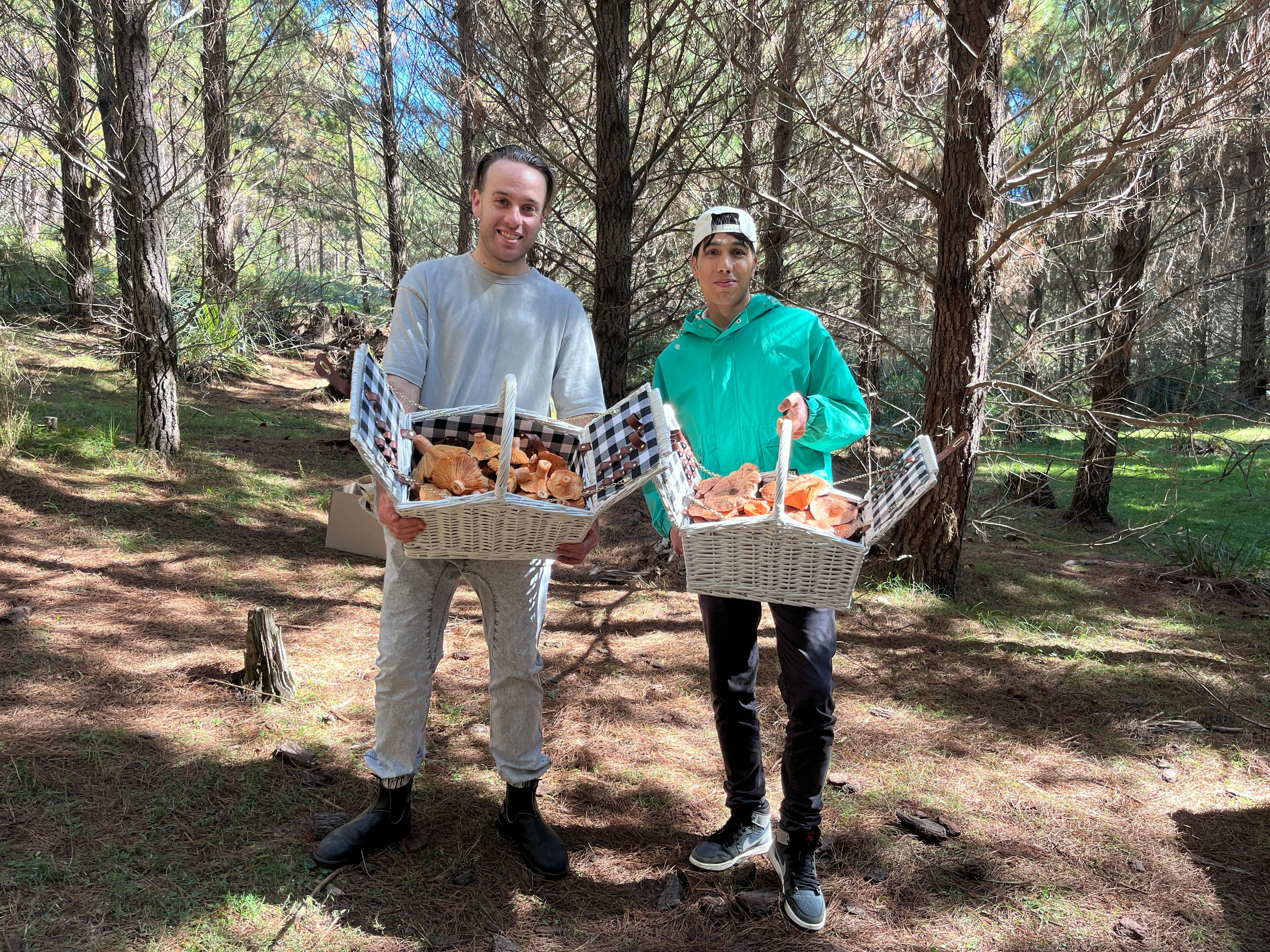 Mushroom foraging in NSW