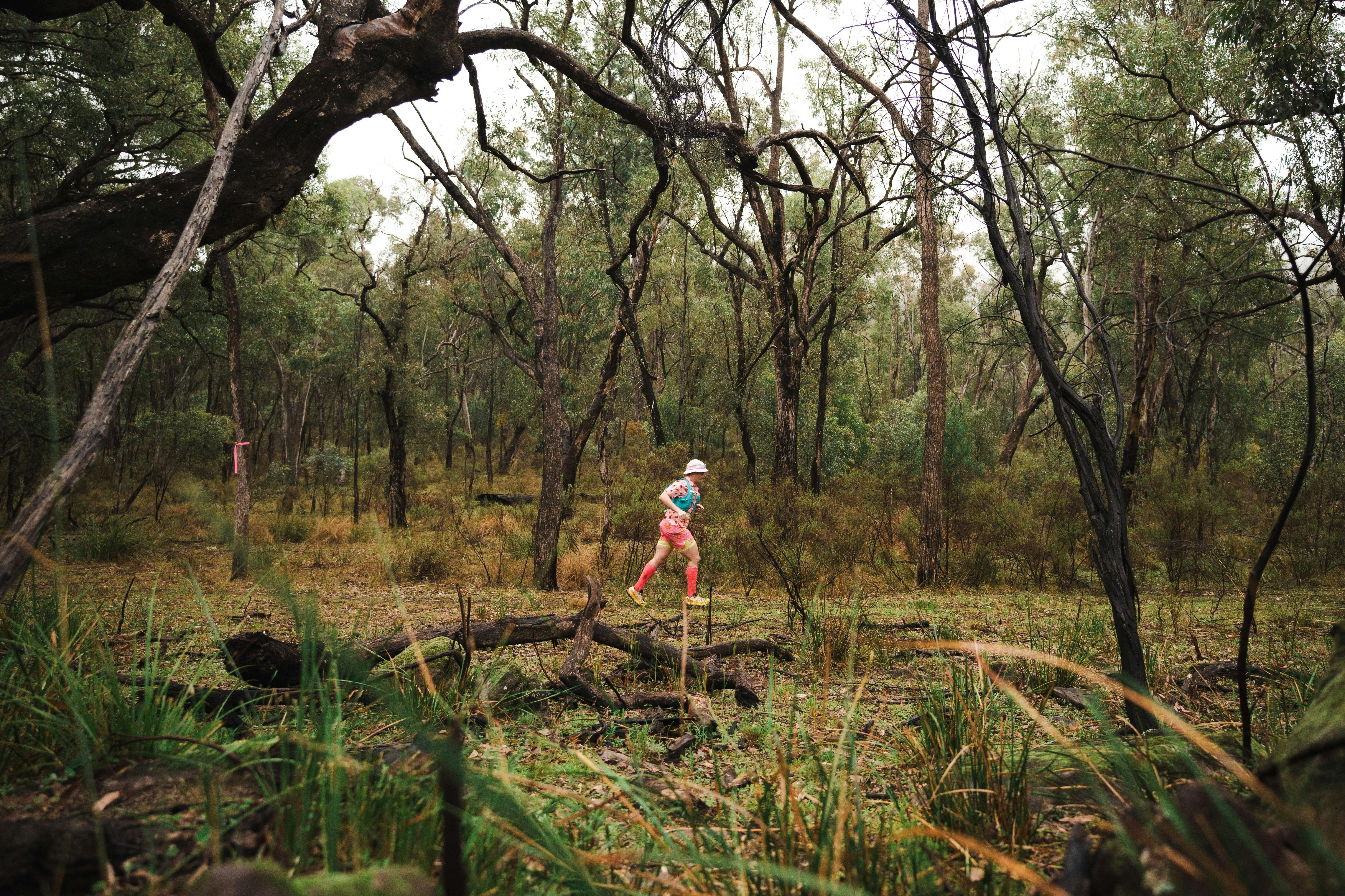 A runner cutting through the lush Pilliga Forest