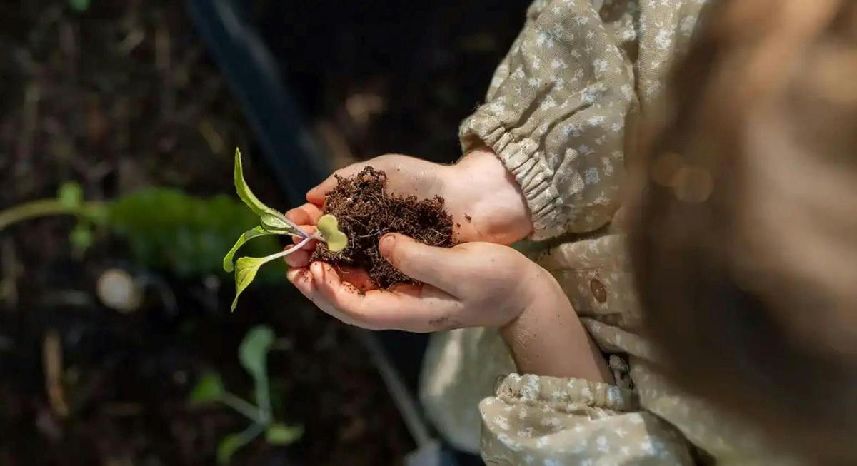 Permaculture at the Pub