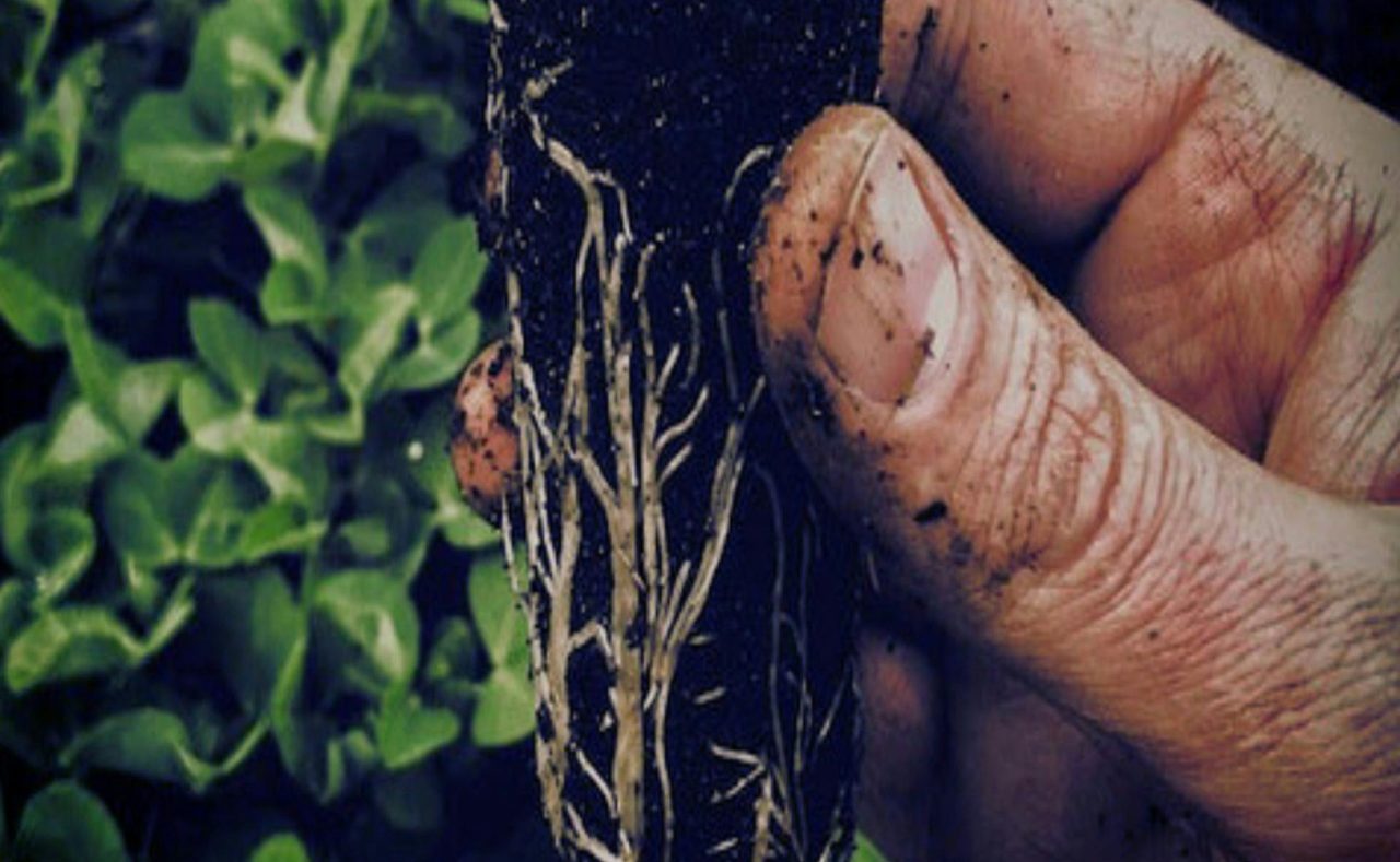 Permaculture