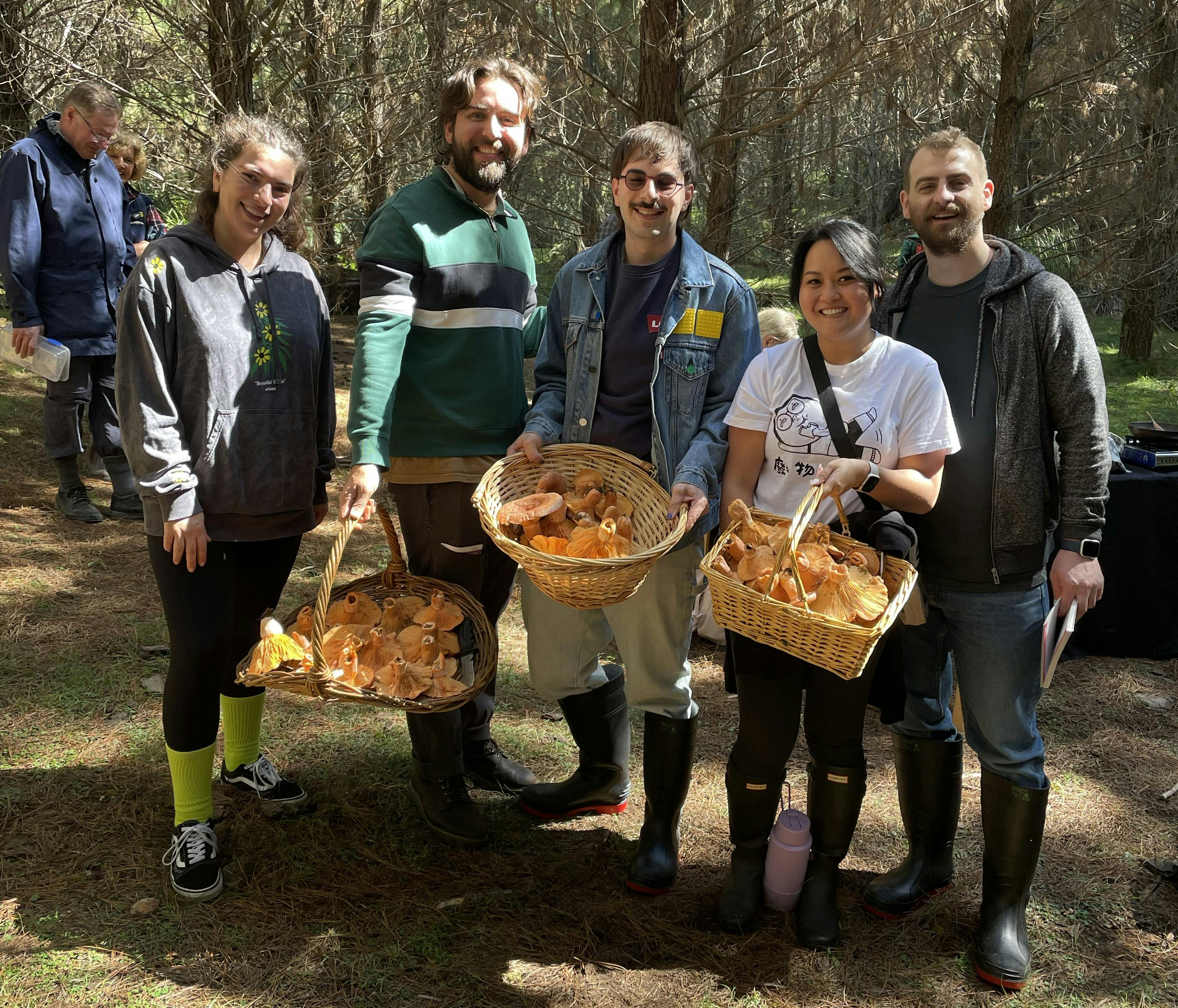 Mushroom foraging in NSW
