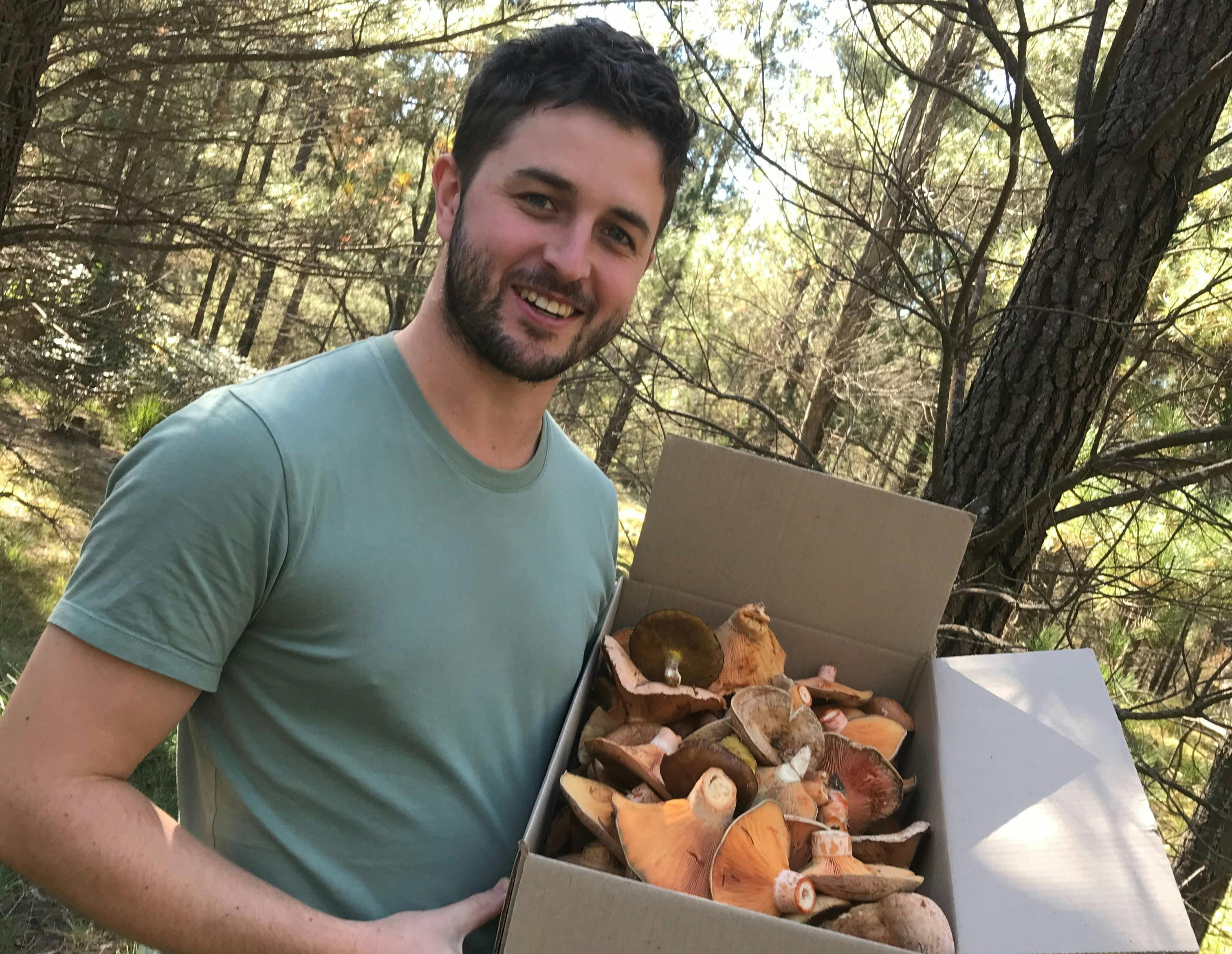 Mushroom foraging in NSW wildfood