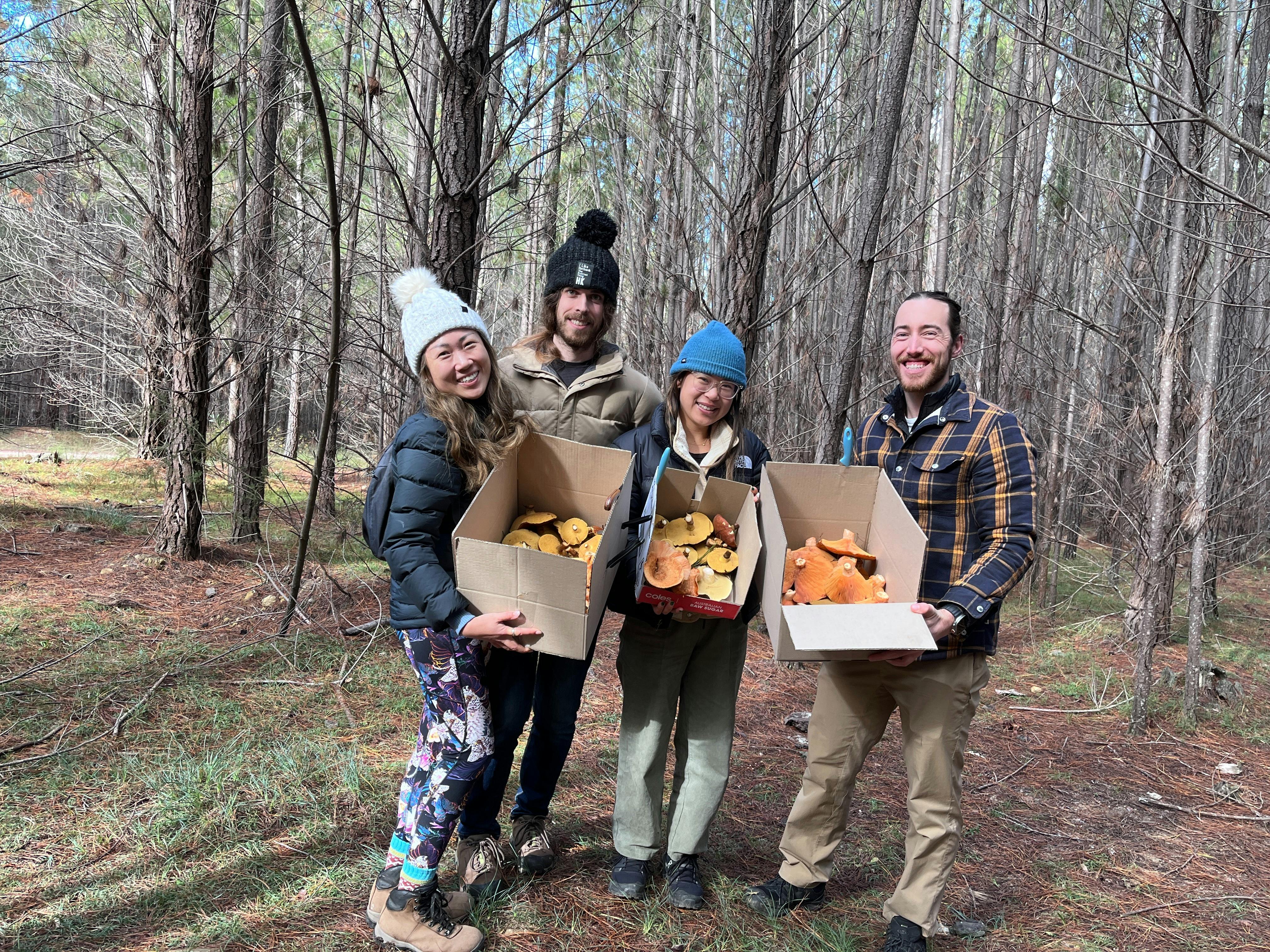 Mushroom foraging in NSW