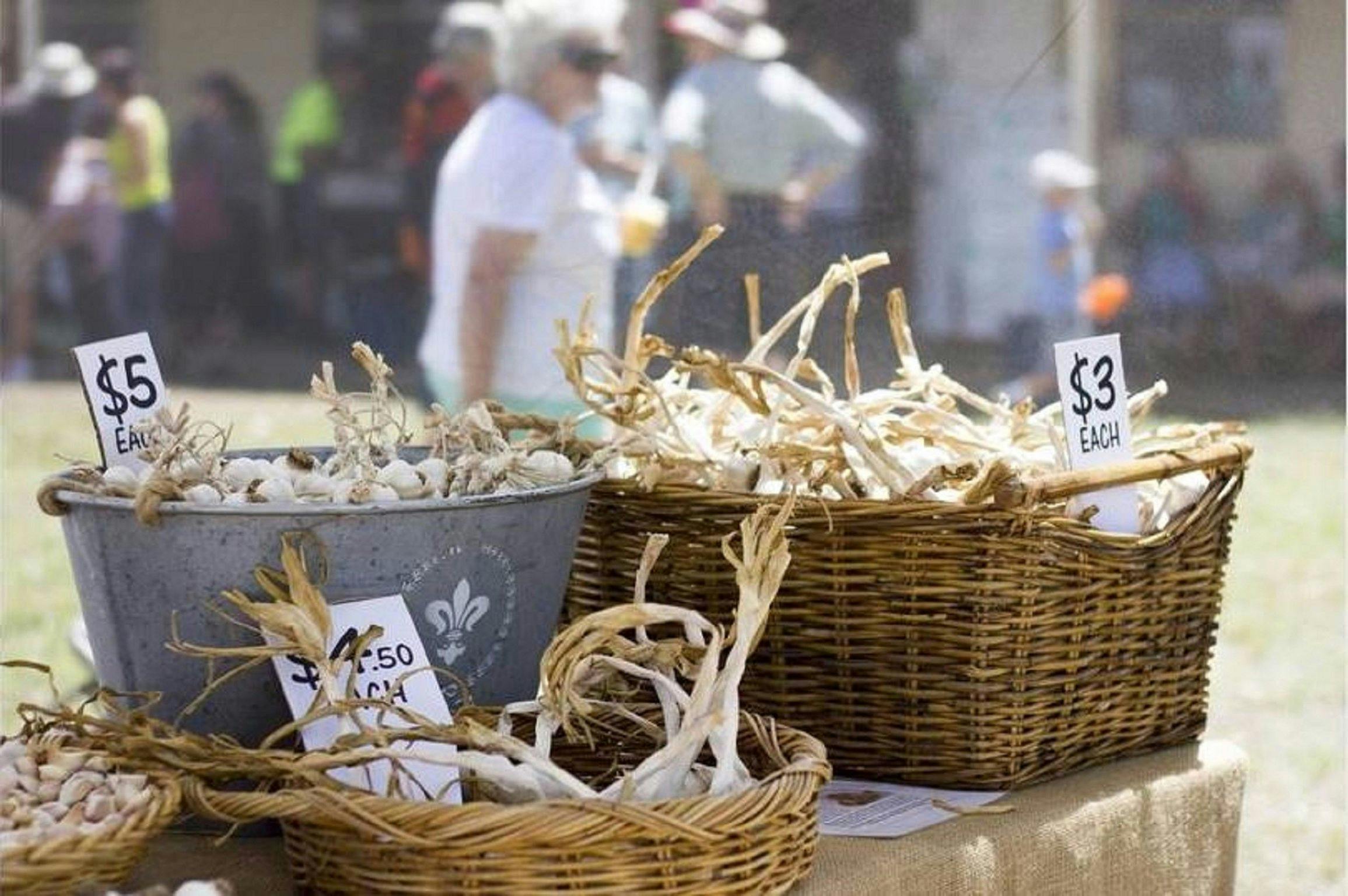 Nabiac Farmers Market