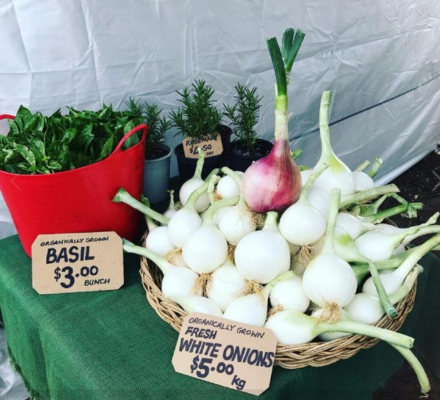 Nabiac Farmers Market