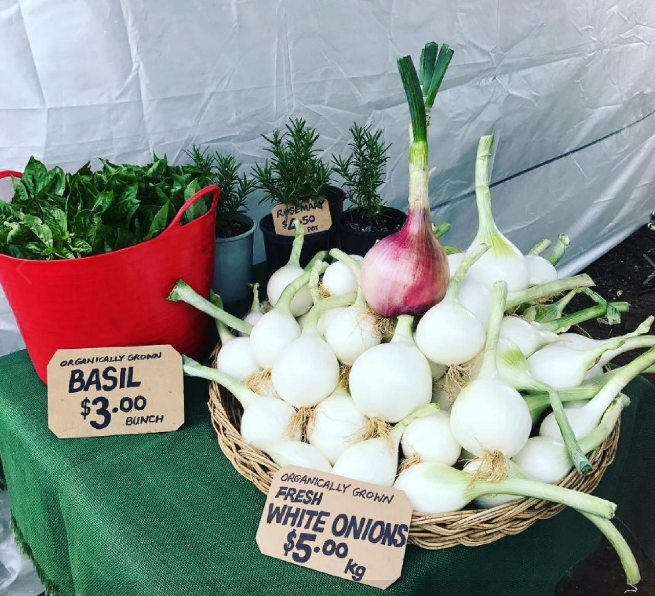 Veg