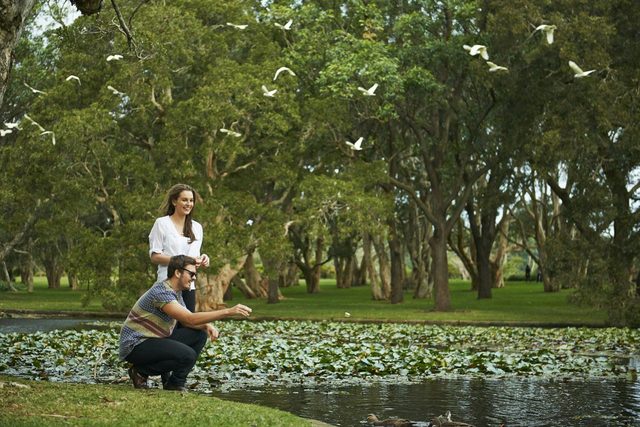 Centennial Parklands