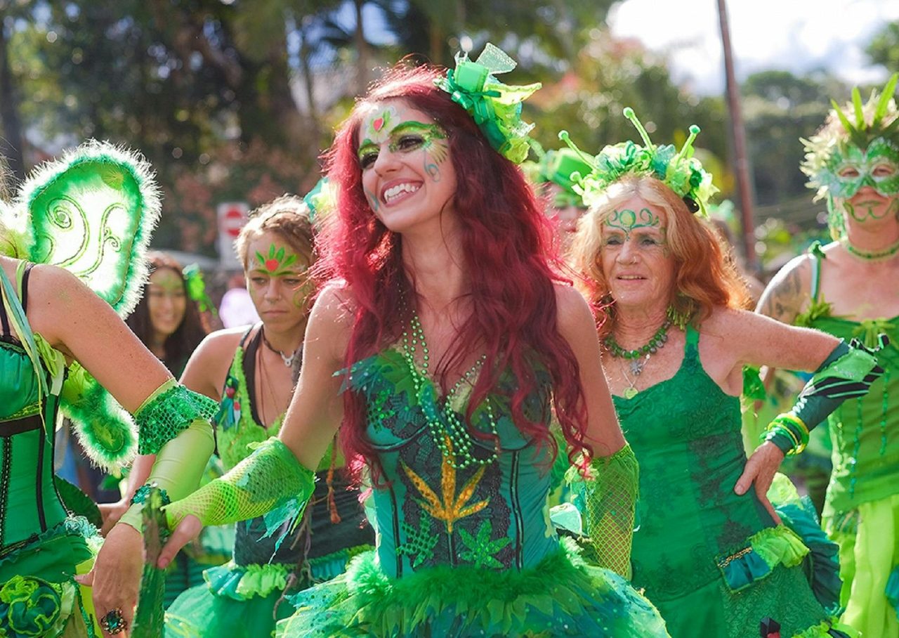 Nimbin Green Fairies