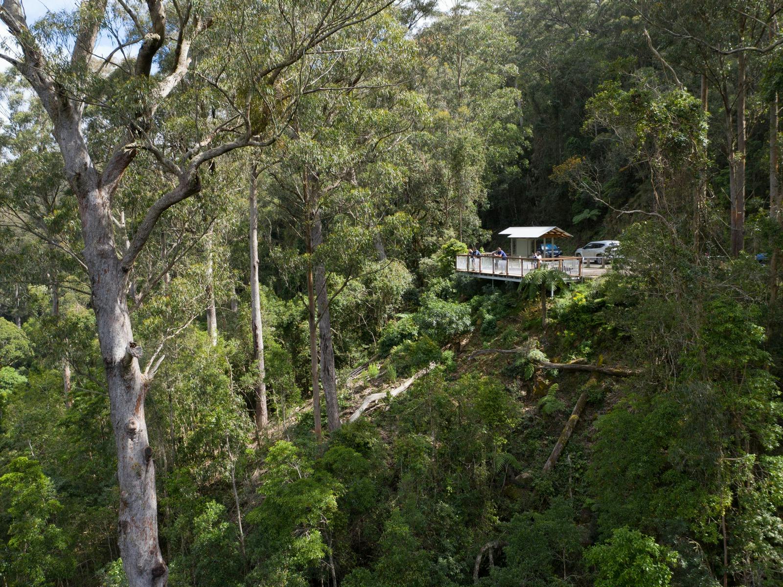 Cobark Lookout, Barrington Tops State Forest