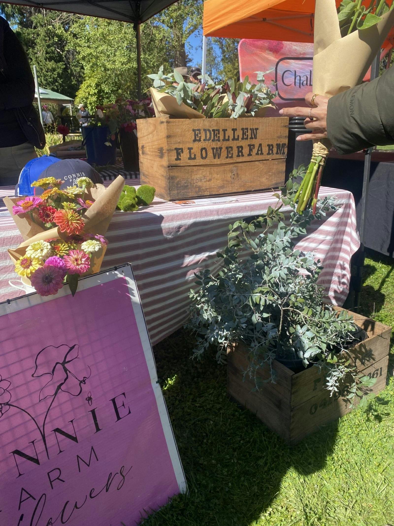 FOOD Week Producers Market