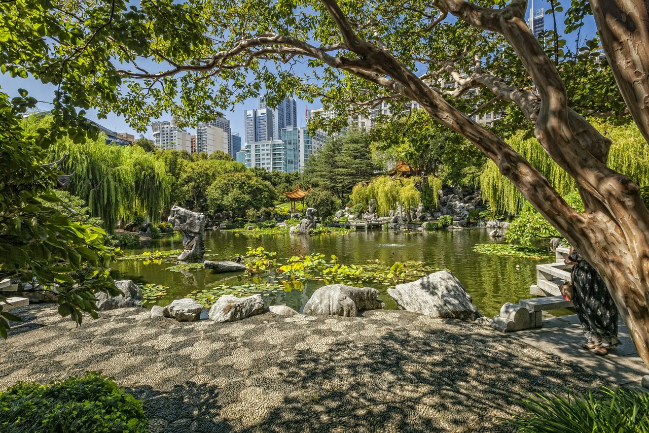 View across the Lake of Brightness