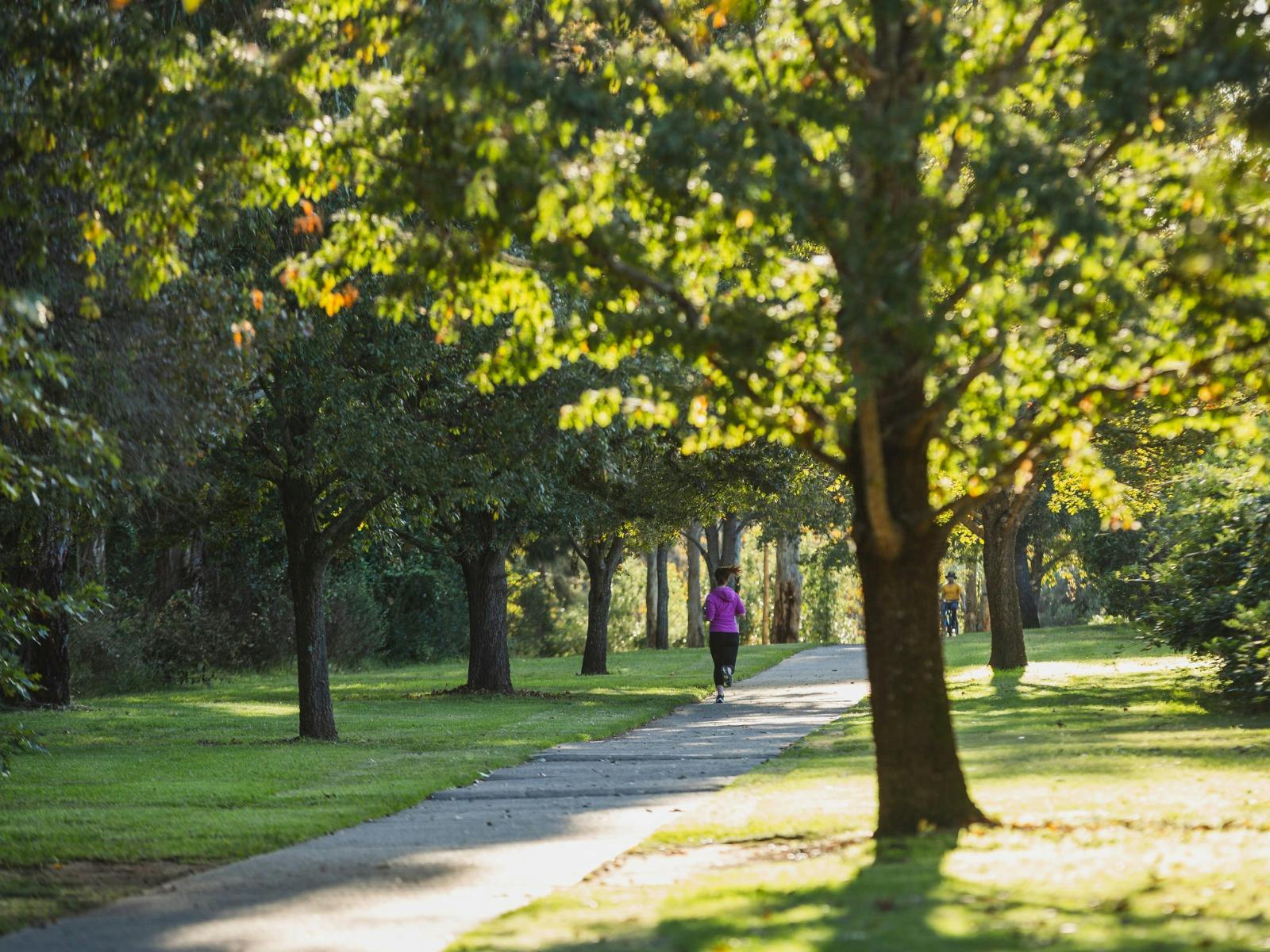 Picton parkrun course