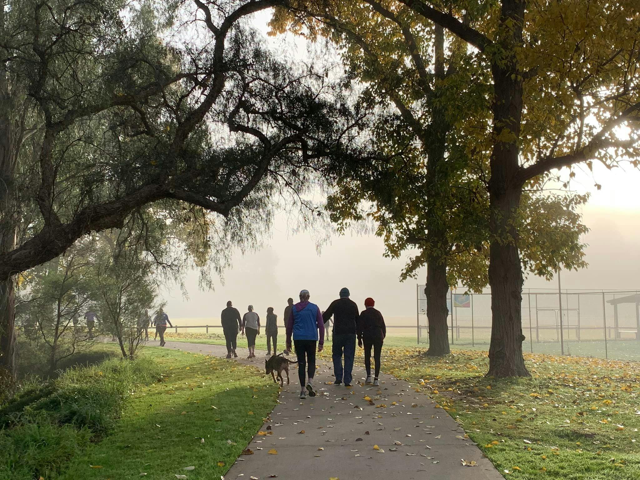 Picton Botanic Gardens Bike Track