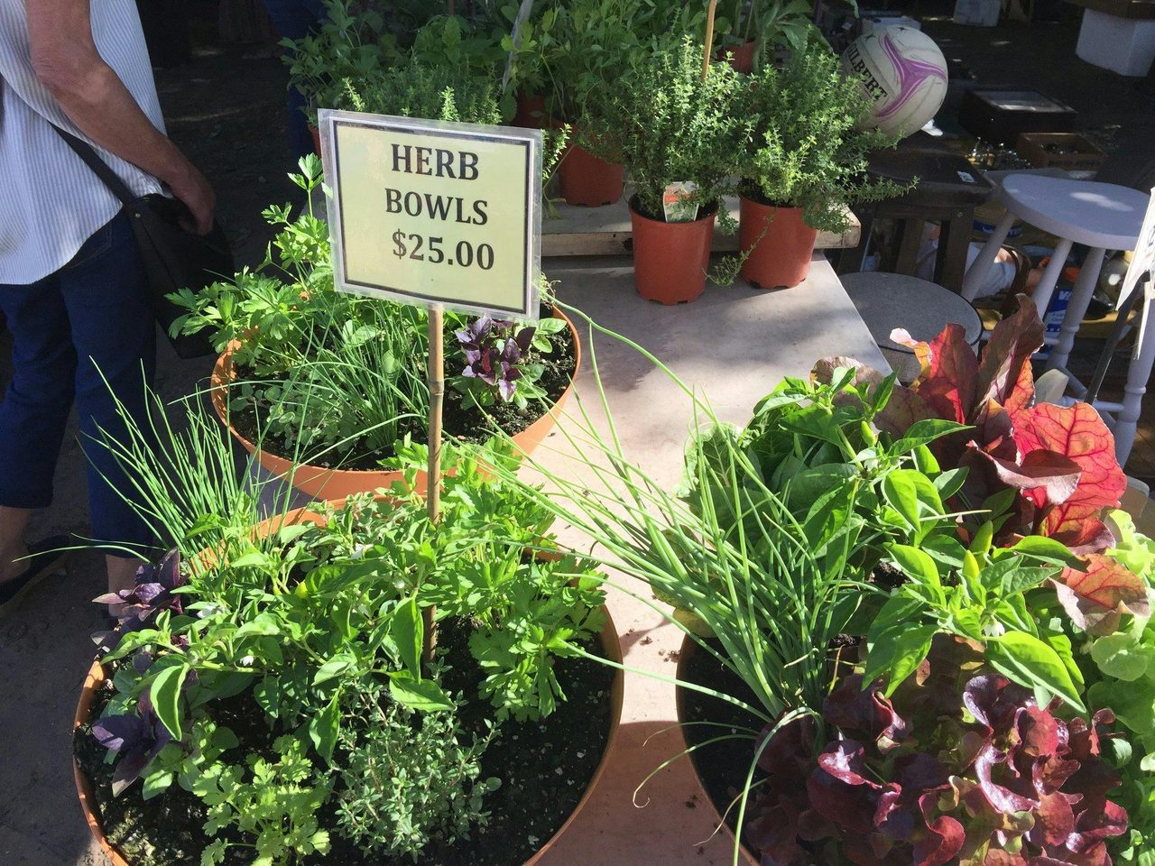 Mittagong Markets 5