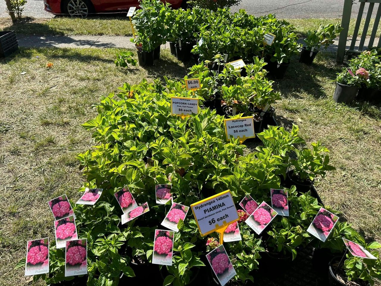 Mittagong Markets 4