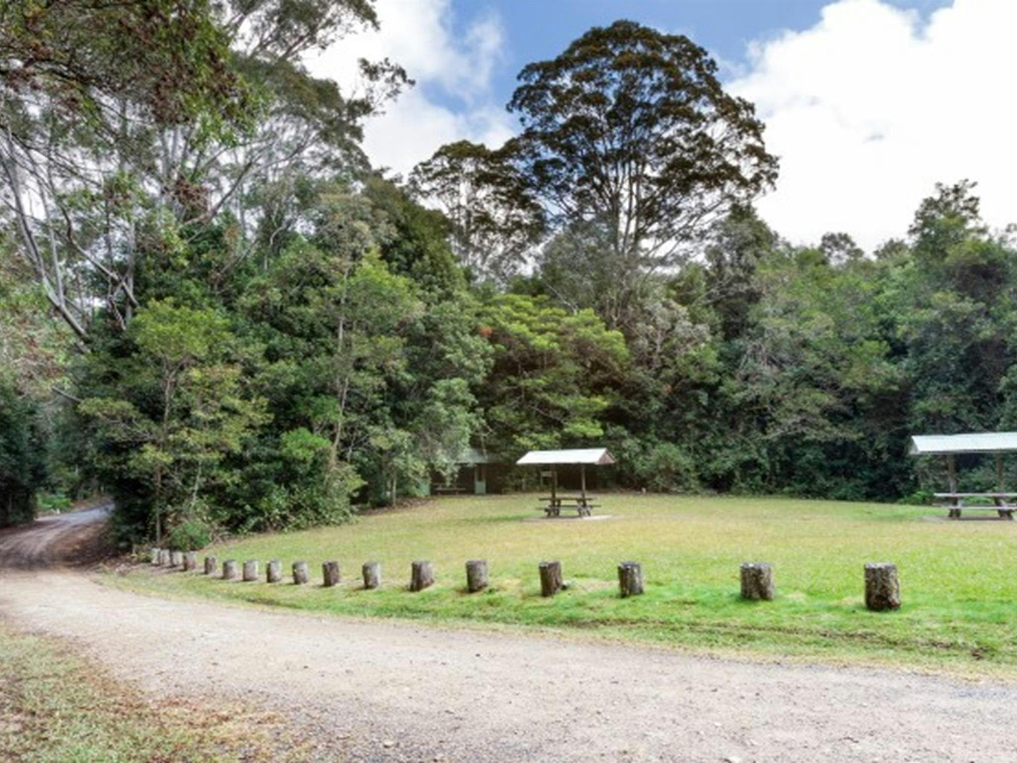 The road to Coachwood picnic area with picnic shelters in the distance in Washpool National Park.