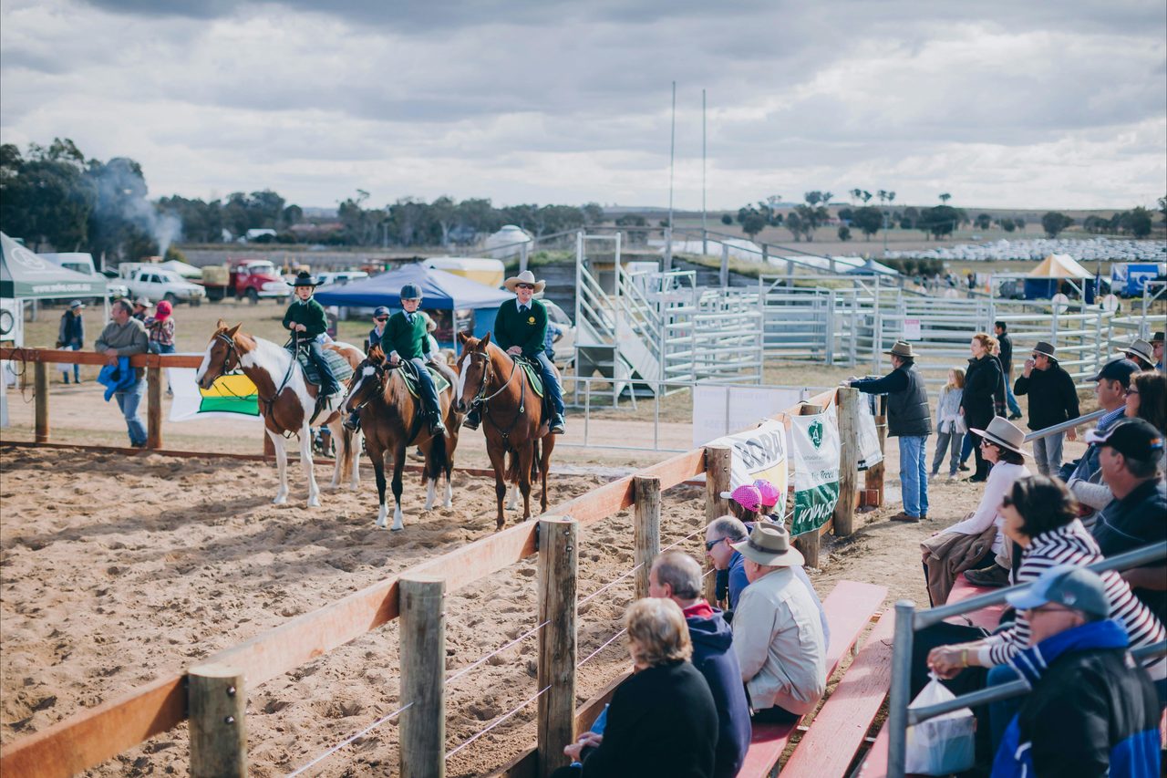 Horse arena