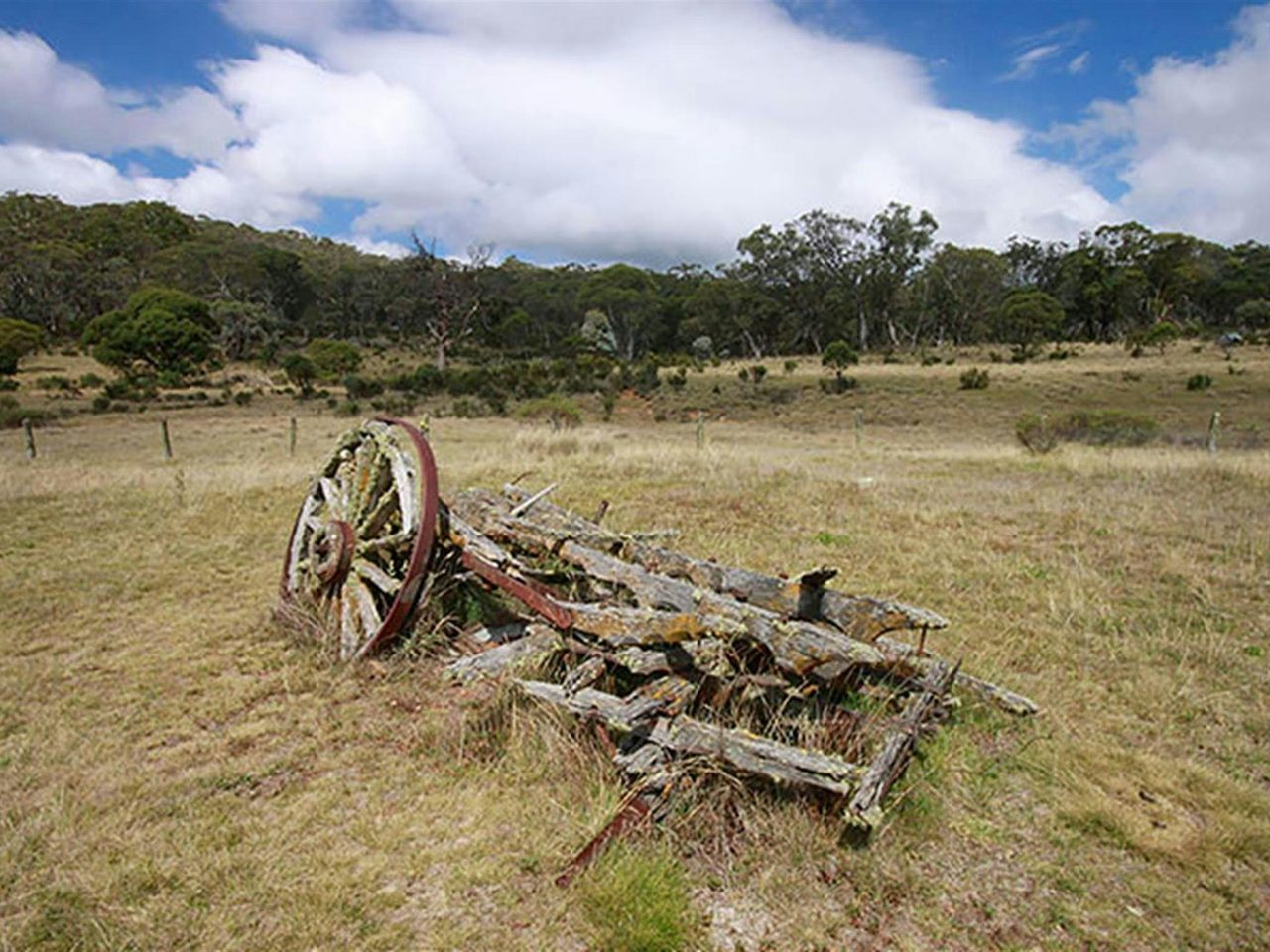 Remnants of farming equipment at Coolamine Homestead, Kosciuszko National Park. Photo: Elinor