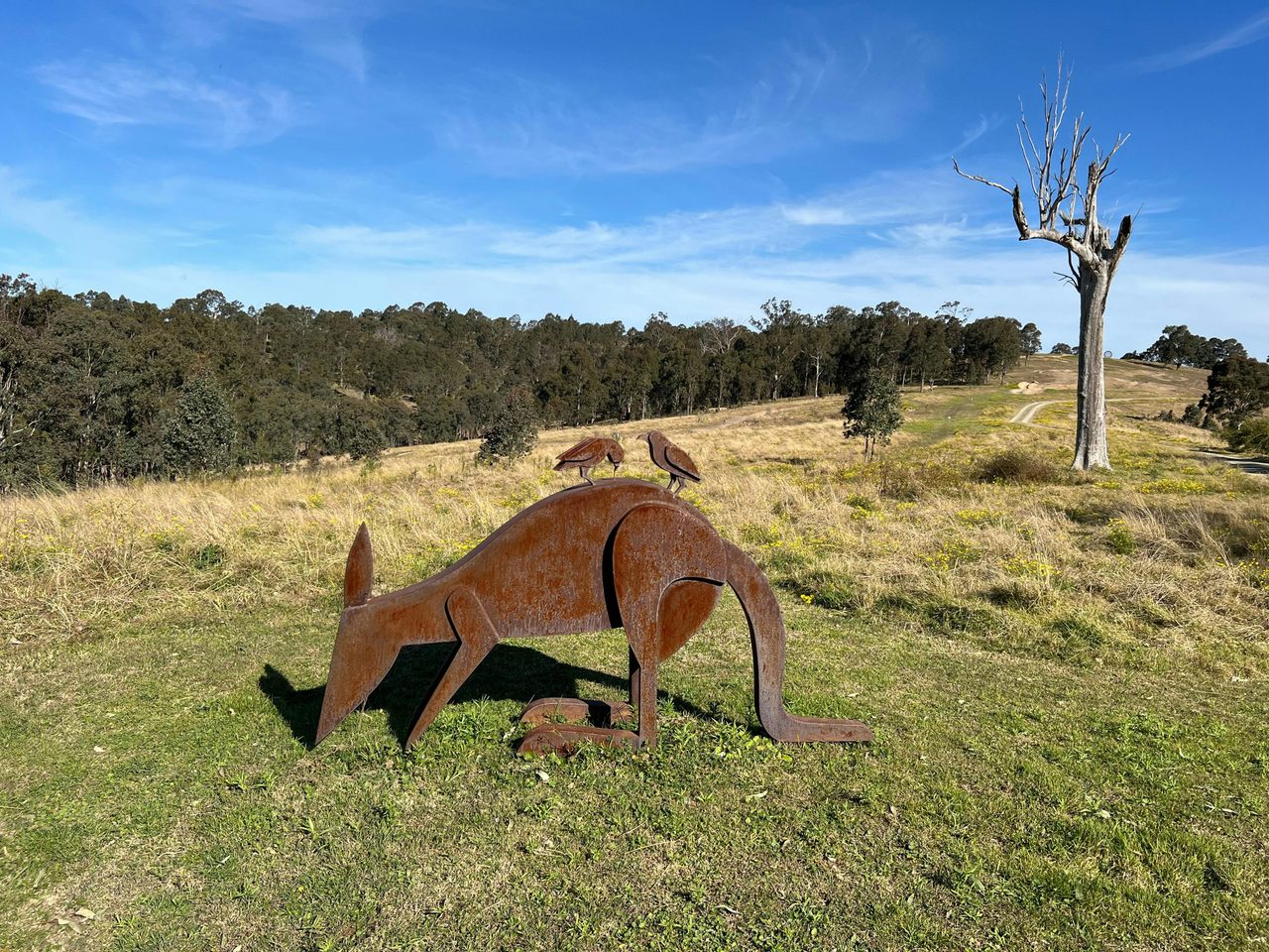 Collecting Fur to Line the Nest 2 by Jimmy Rix at the Dungog Common