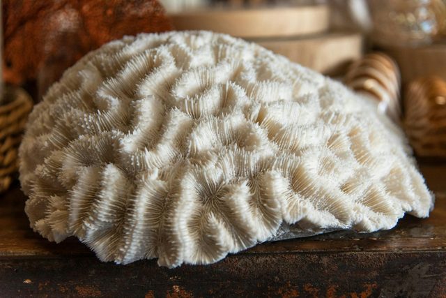 34 Degrees South Trading Company