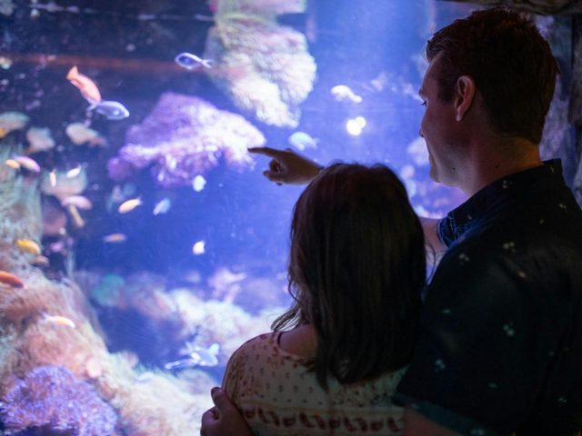 Signature Dining at SEA LIFE Sydney Aquarium