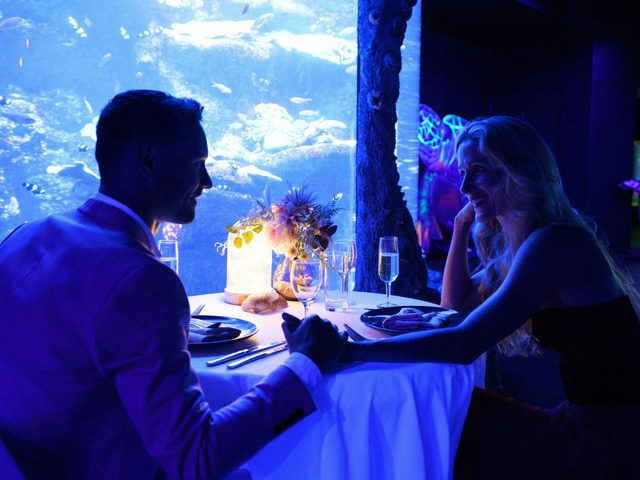 Signature Dining at SEA LIFE Sydney Aquarium
