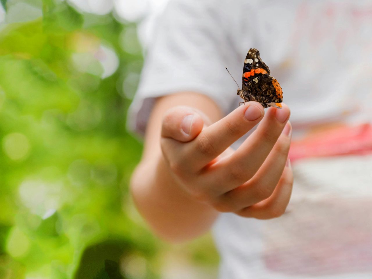 Spring Holidays at Hunter Valley Gardens