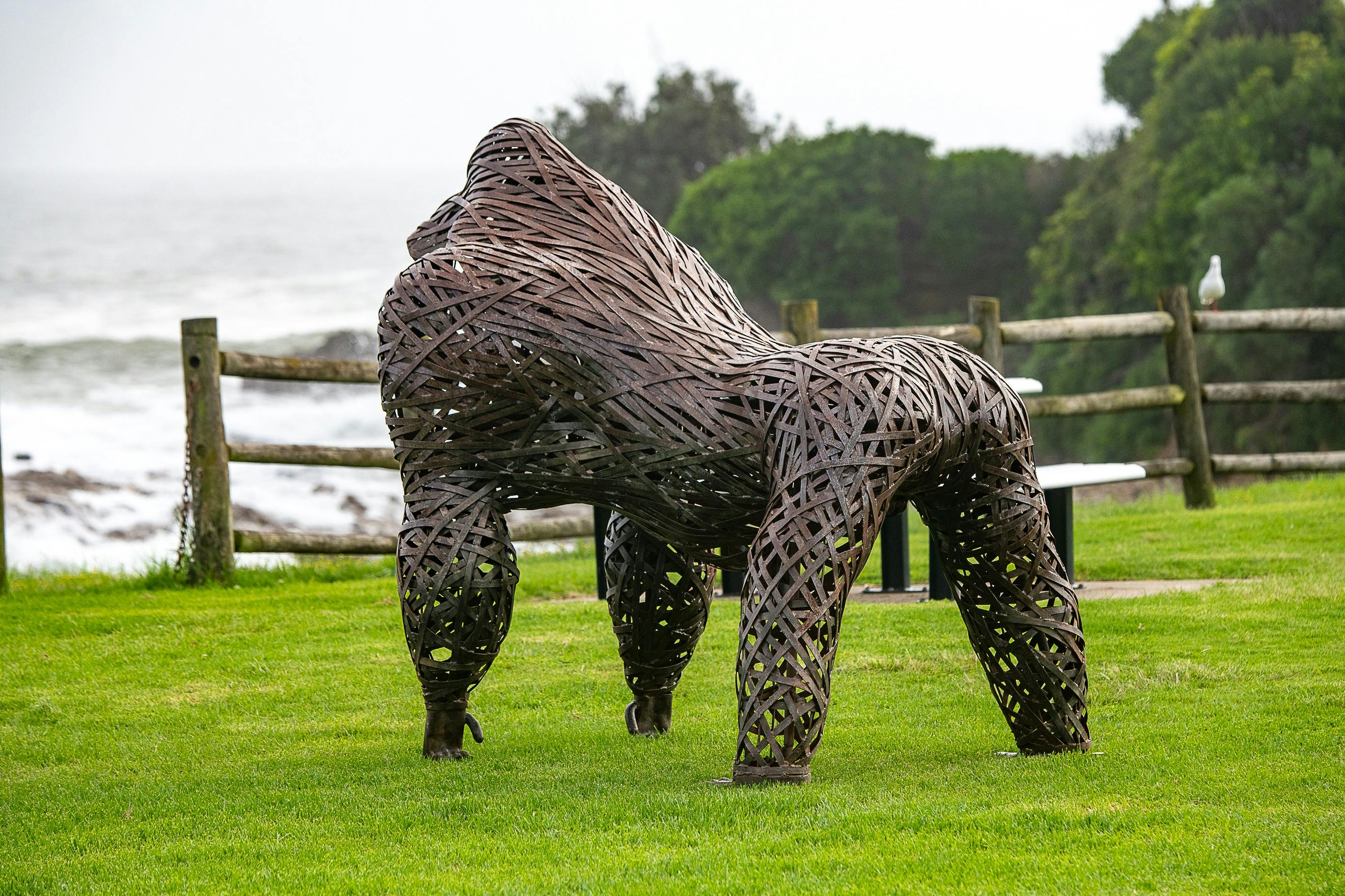 Bwindi - Sam Anderson