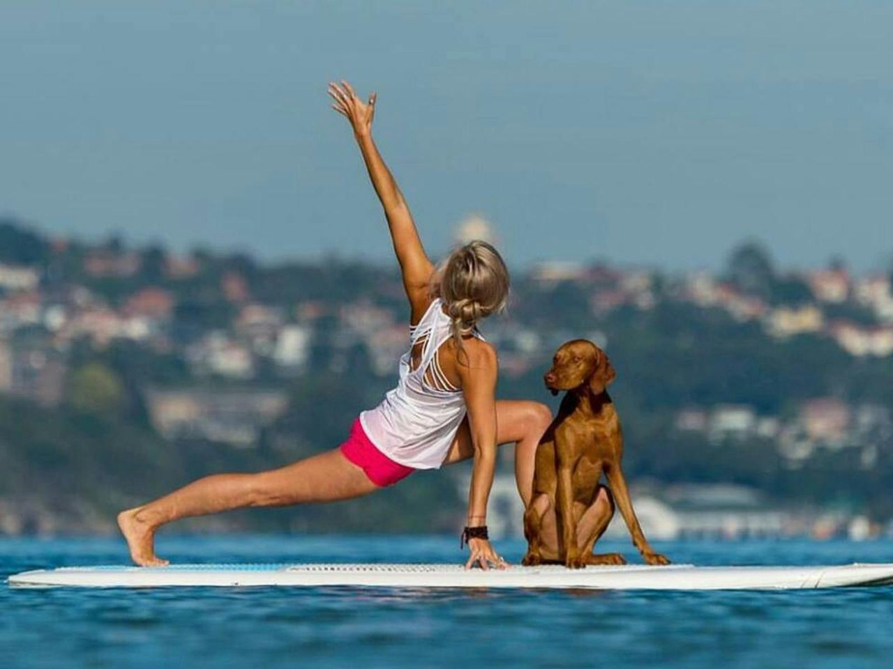 SUP Yoga Manly