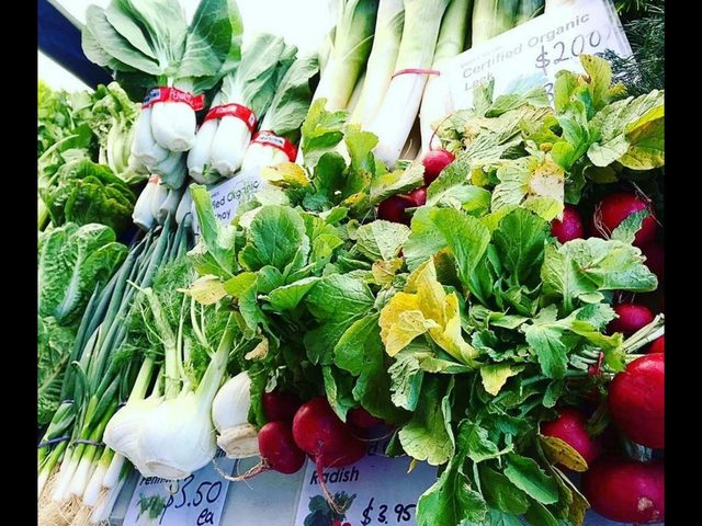 The Beaches Farmers Market