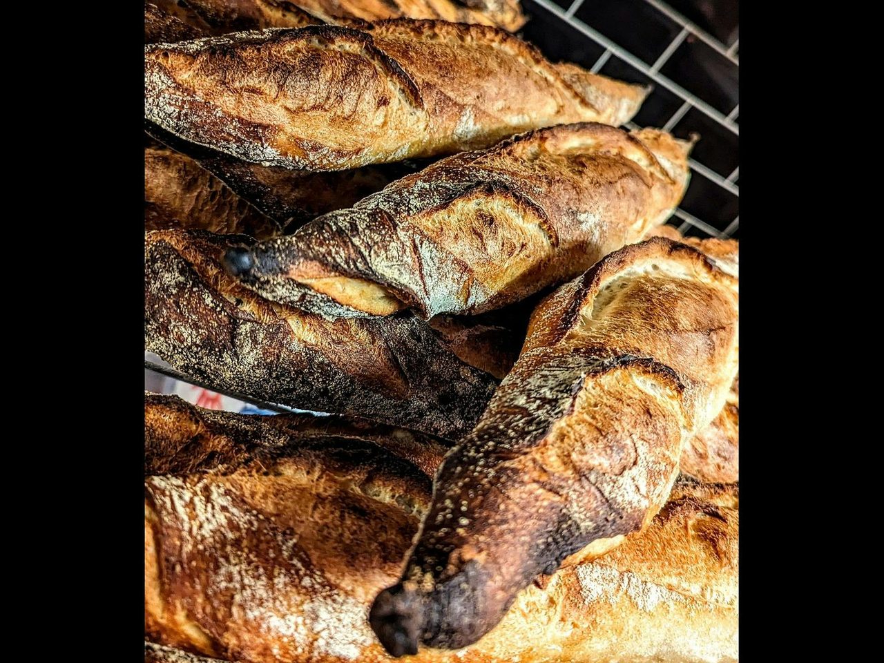 Best bread ever