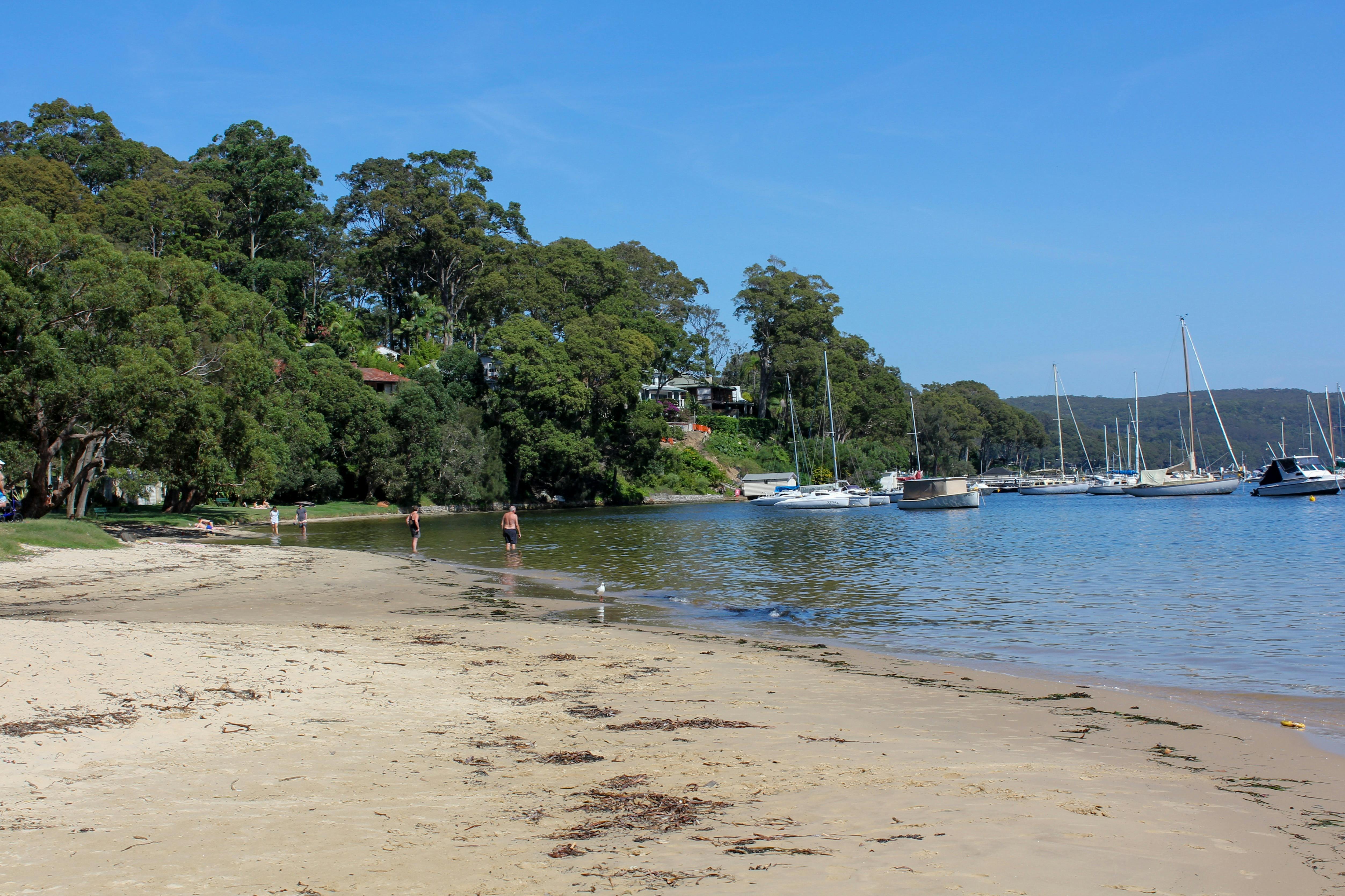 Clareville Beach