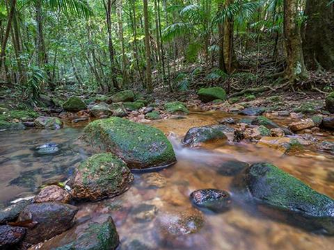 Coorabakh National Park
