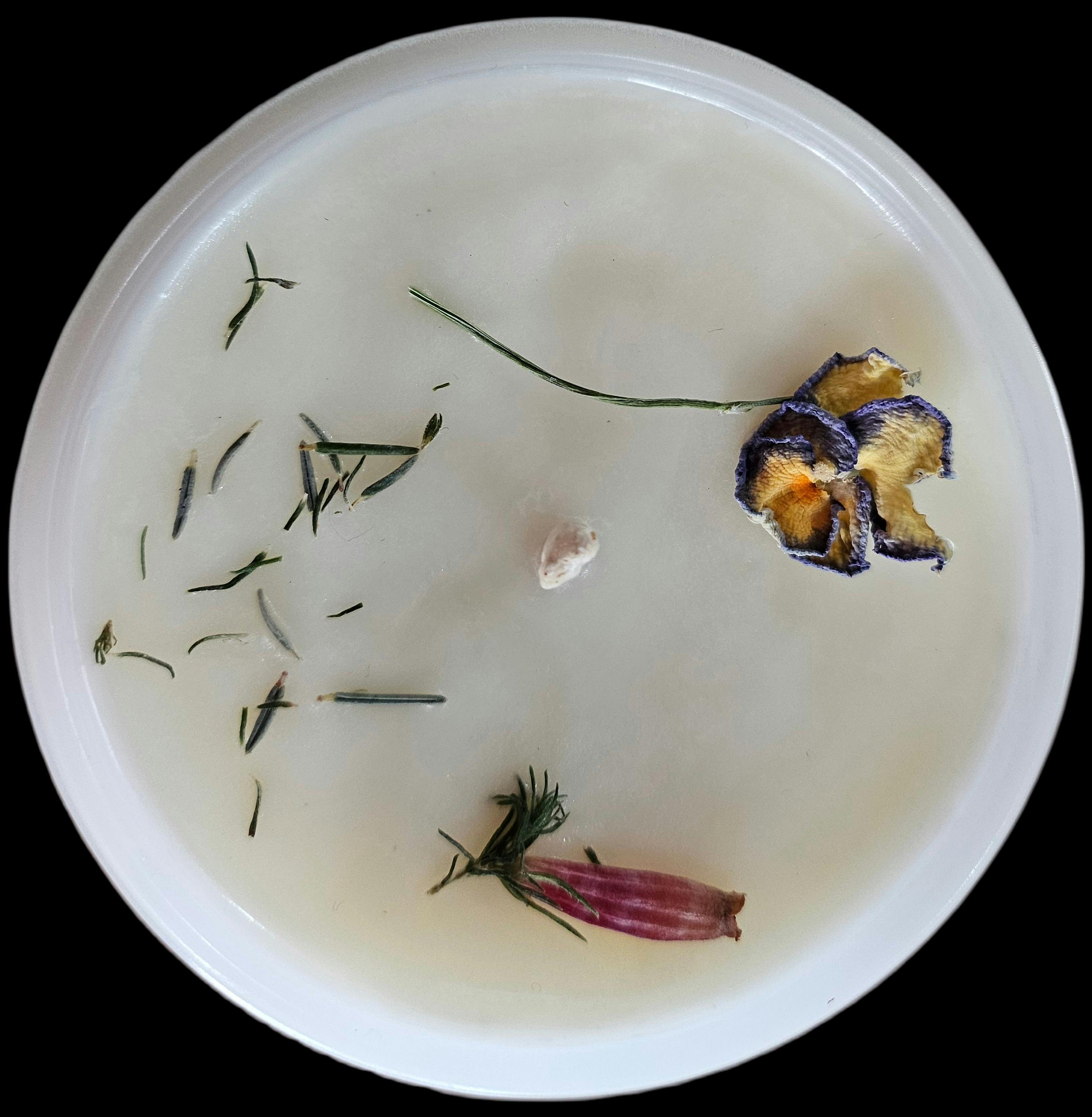 Lovingly decorated with flowers from my garden