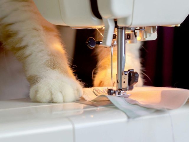 A Fine Line Quiltery