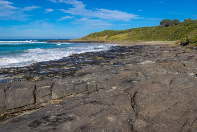 Cat and Kitten Beach
