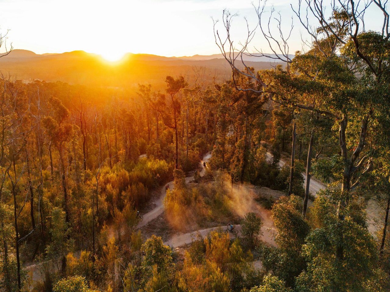 Mogo Trails - Sea Otter Australia Venue