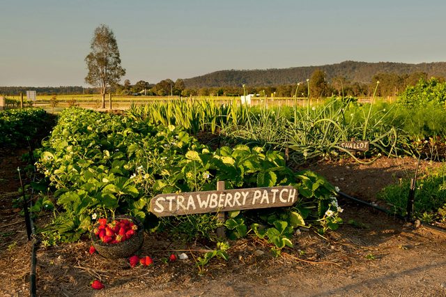 The Ultimate Margan Experience