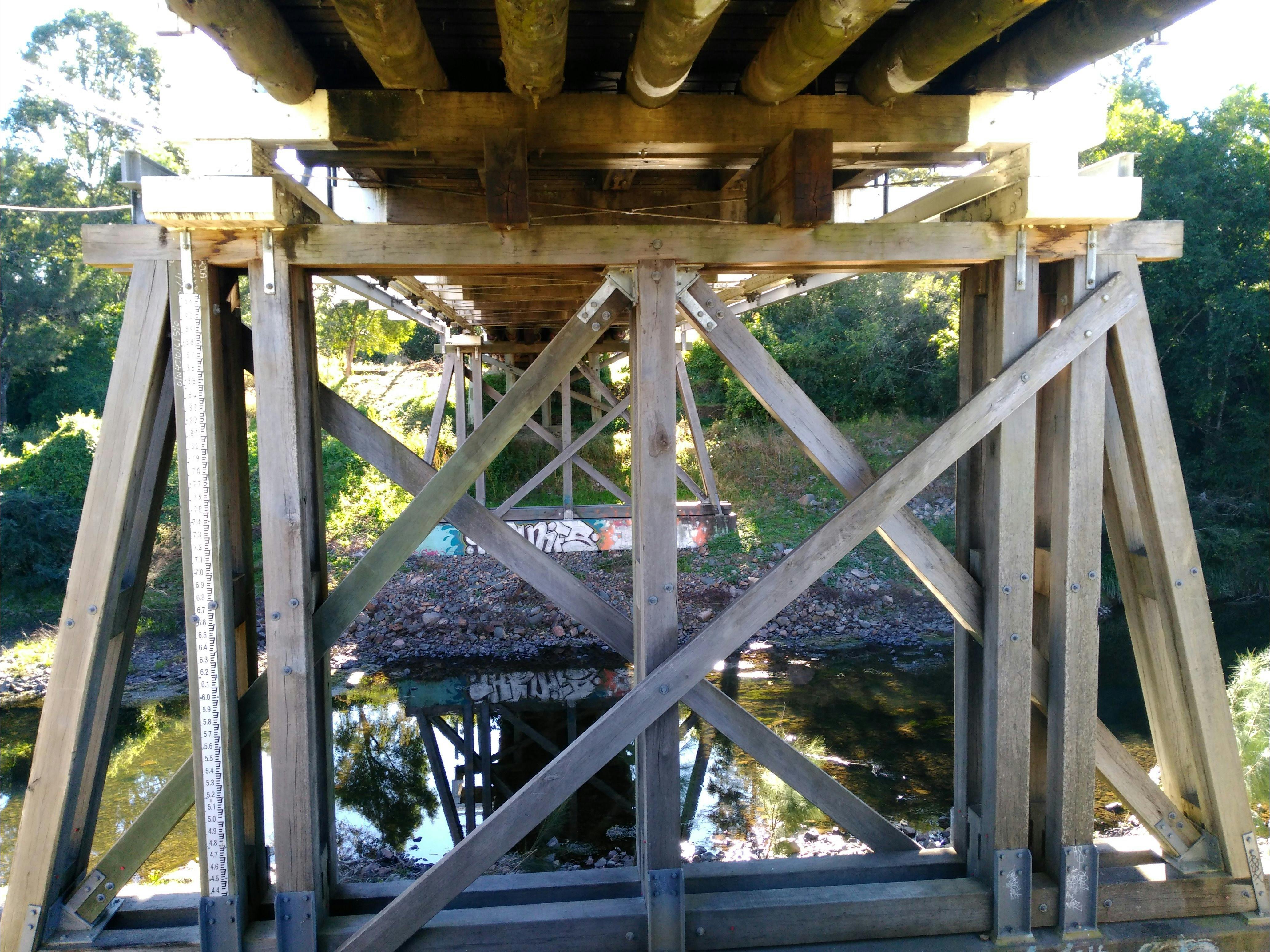 Photo courtesy Ivan Skaines