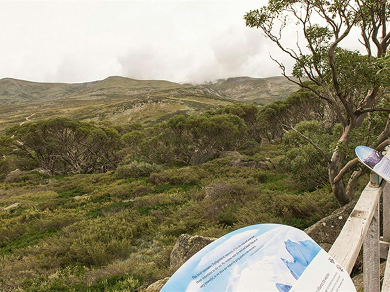 Edge of lookout viewing platform with information panels, set in a landscape of bushland and alpine