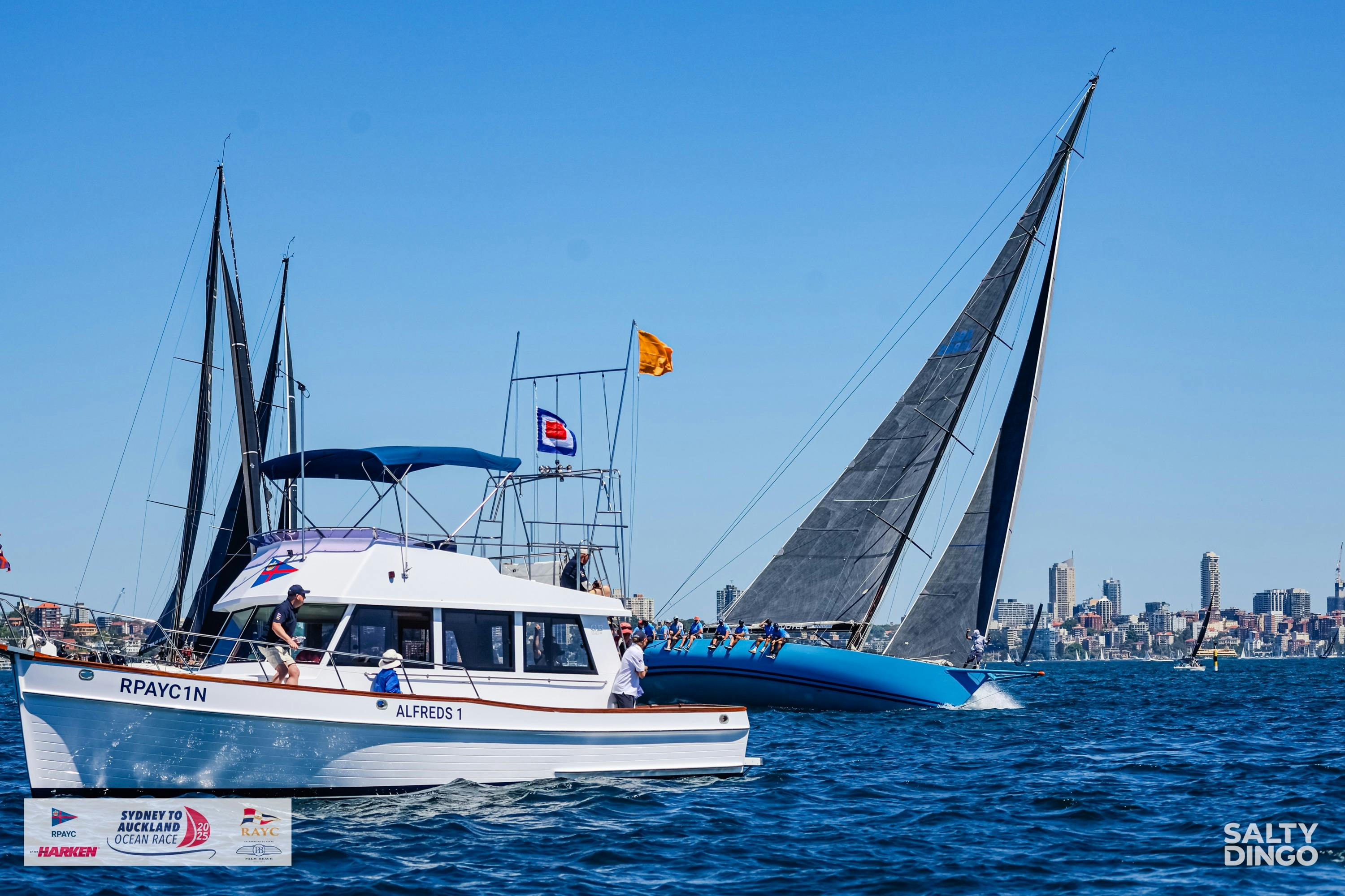 Start of the 2025 Race