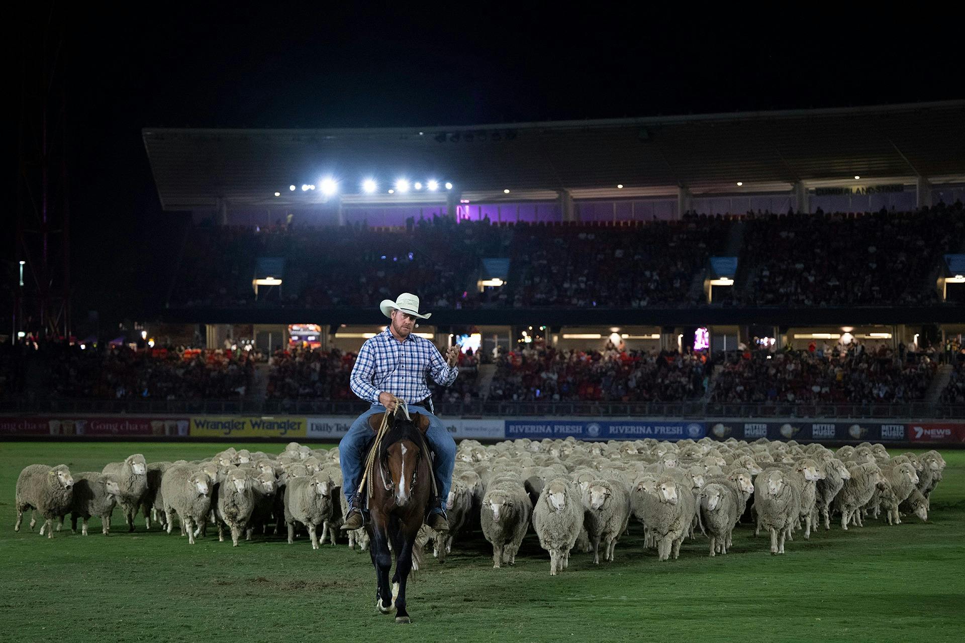 Murray Wilkinson, Evening Entertainment