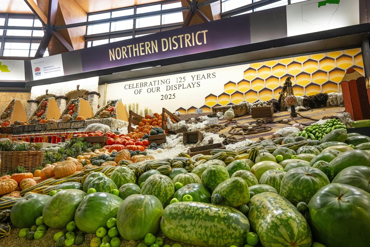 Welcome to foodie heaven