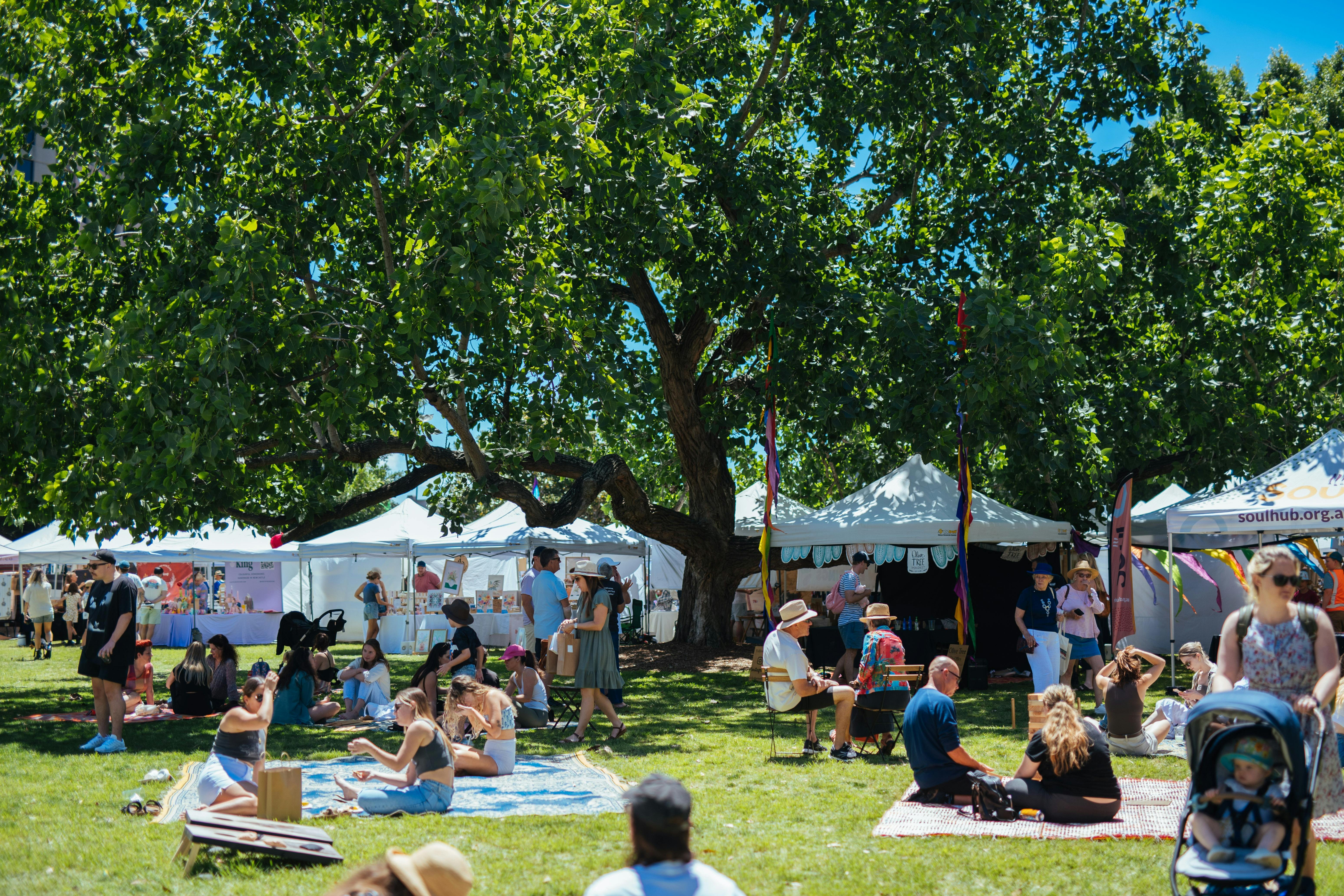 Spring time at The Olive Tree Market