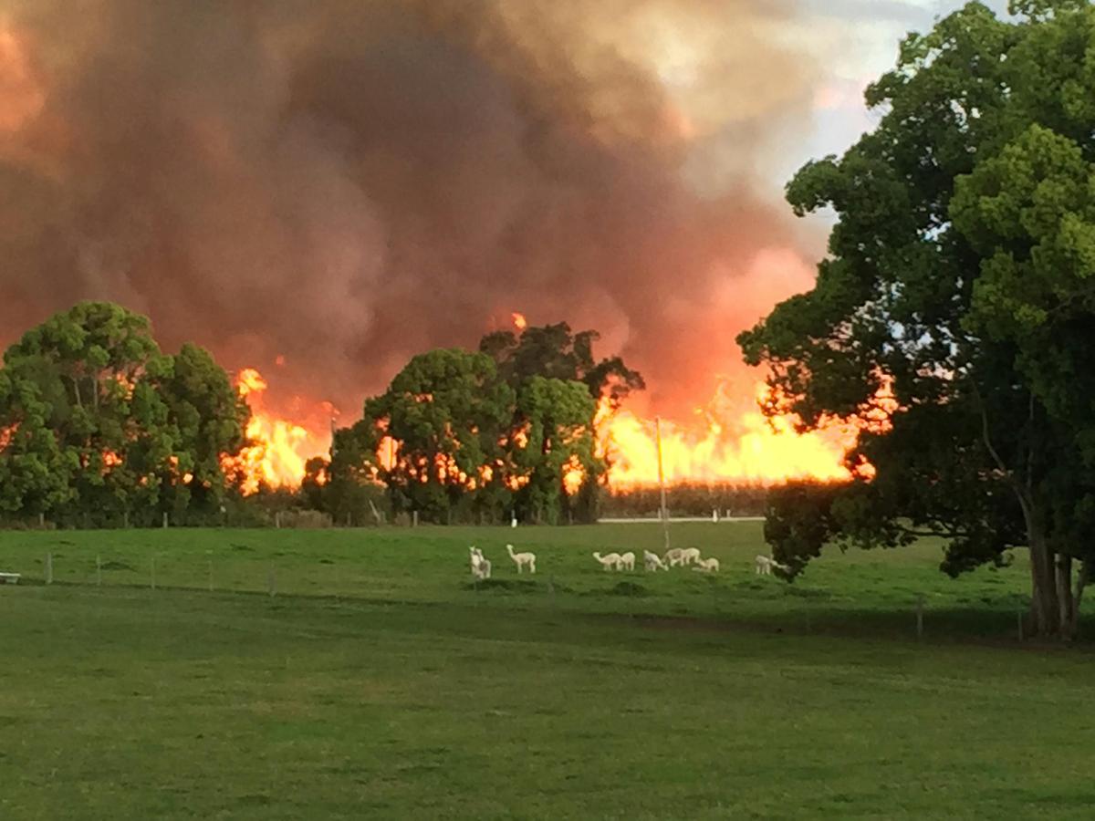 Spectacular cane fires, June  to December